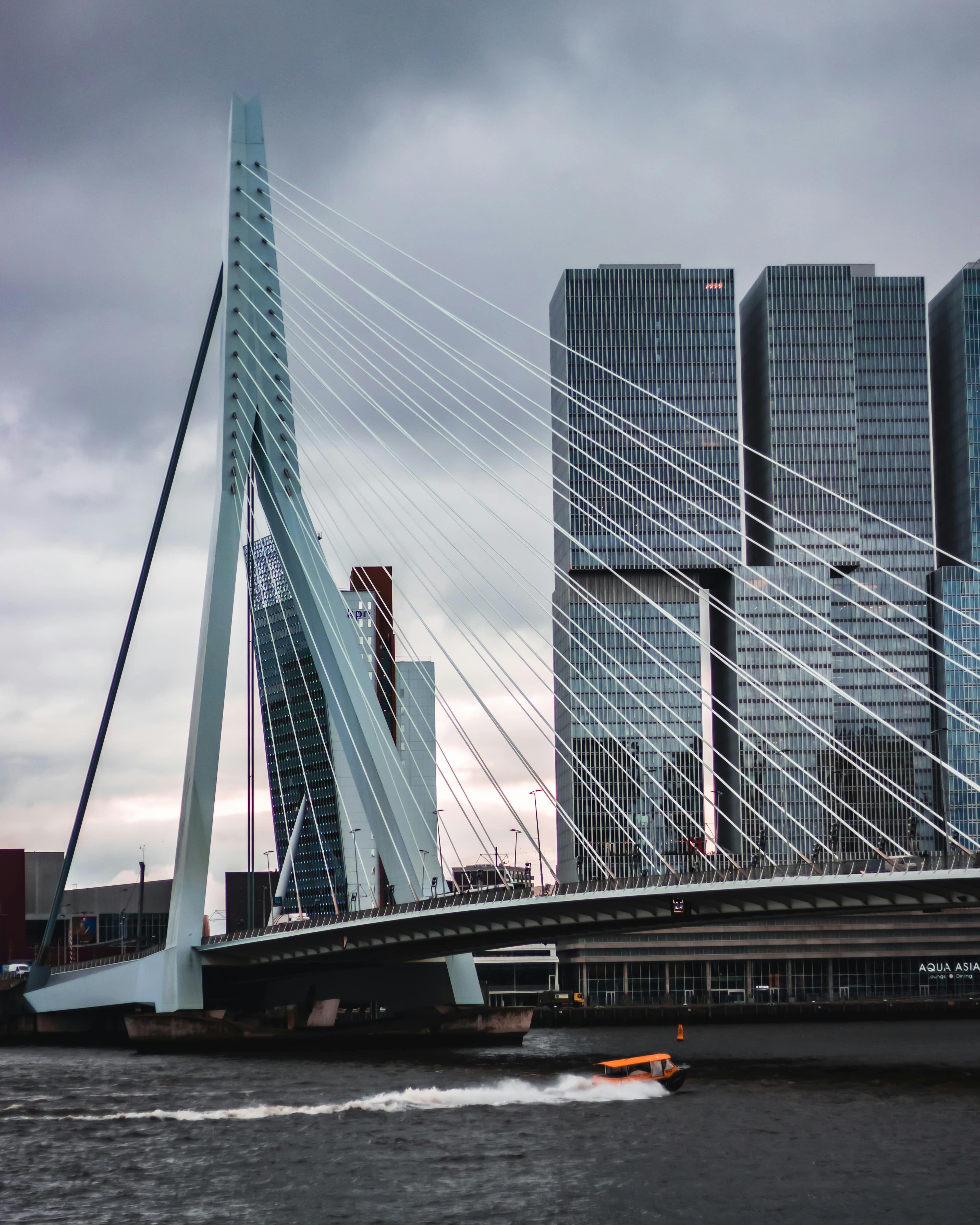Rotterdam Erasmus Bridge and skyline